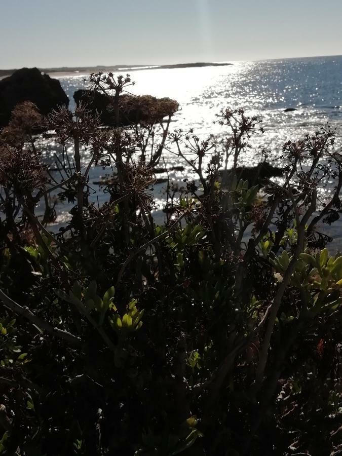 Sardinia For You Ористано Екстер'єр фото