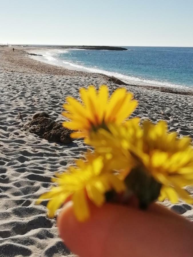 Sardinia For You Ористано Екстер'єр фото